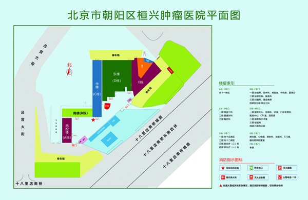 热逼视频北京市朝阳区桓兴肿瘤医院平面图